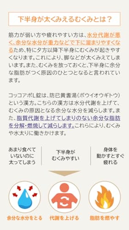 L錠 2