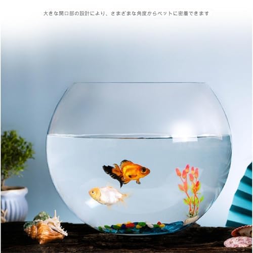 金魚鉢 7