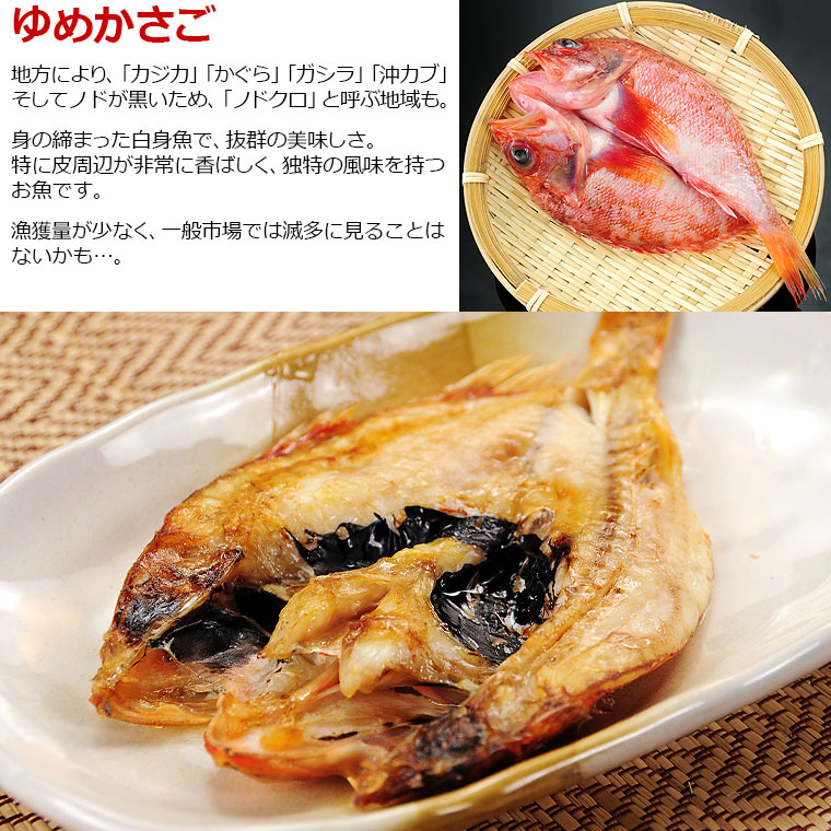 干物セット 11