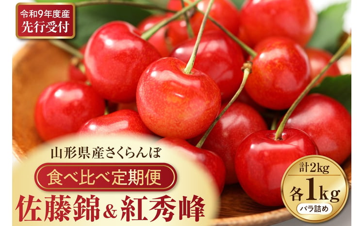 さくらんぼ食べ比べ2回定期便 佐藤錦と紅秀峰  1