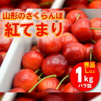 紅てまり Lサイズ以上 バラ詰 1