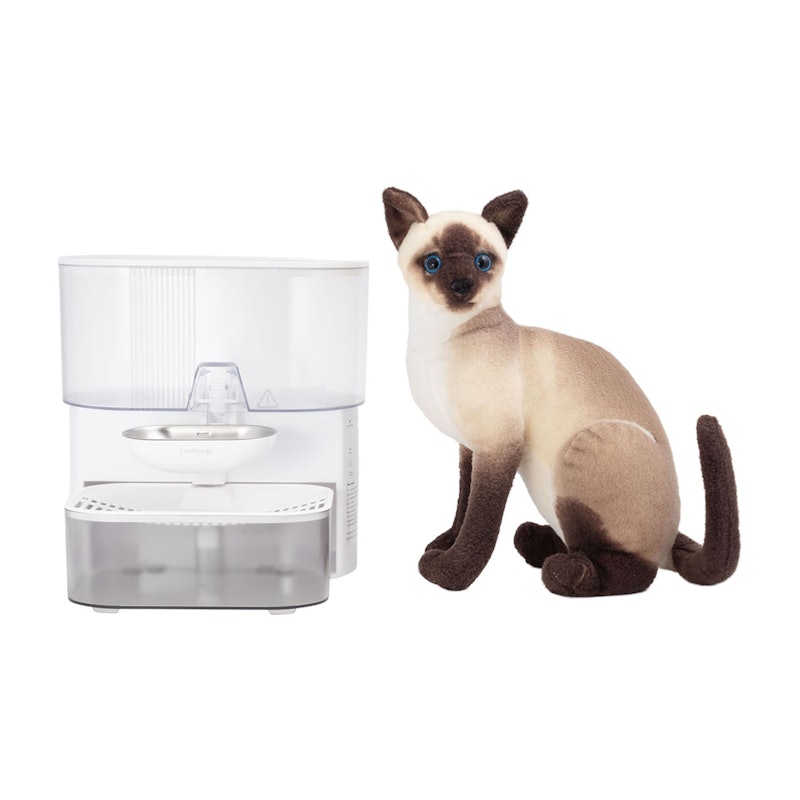 猫給水器 5
