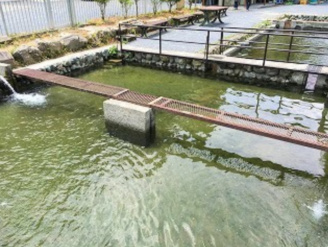 22年 東京都内の釣り堀のおすすめ人気ランキング18選 Mybest