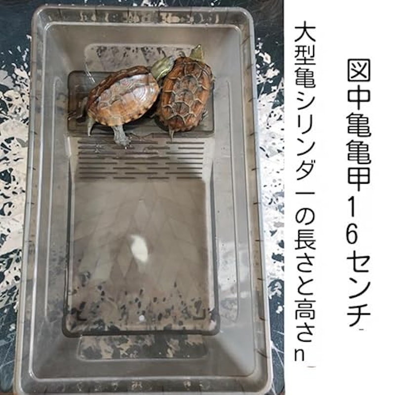 タートルタブ 3