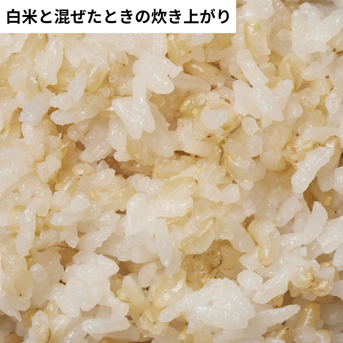 発芽玄米 いのちの壱 6