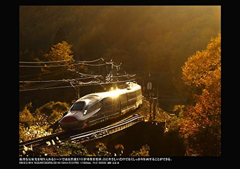 OM-D E-M1X 9