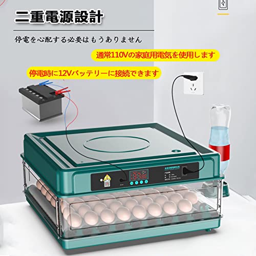 自動インキュベーター 7