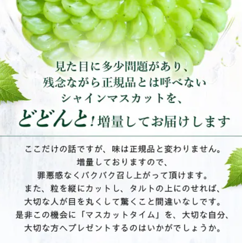 訳あり シャインマスカット 2房 2