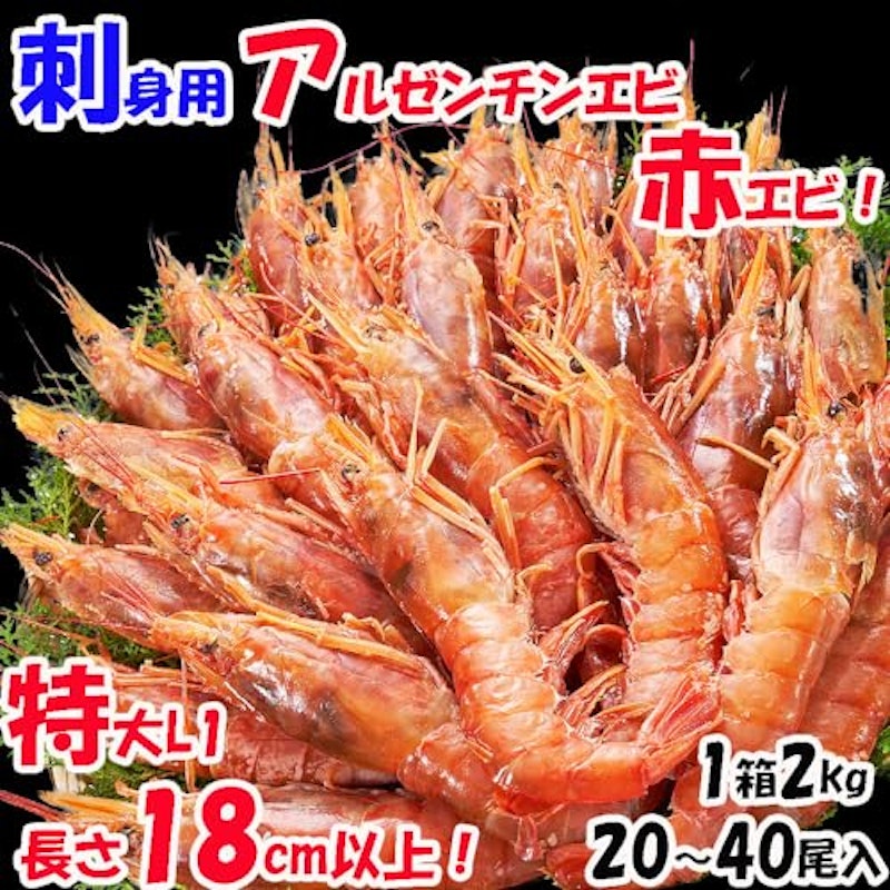 アルゼンチンエビ 2