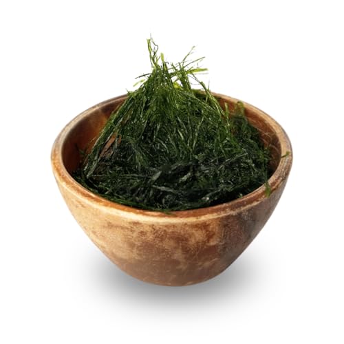 伊勢志摩産 すじ青のり 3