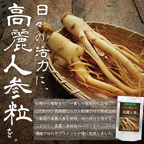 高麗人参粒 3