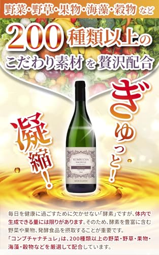【医師監修】コンブチャ  5