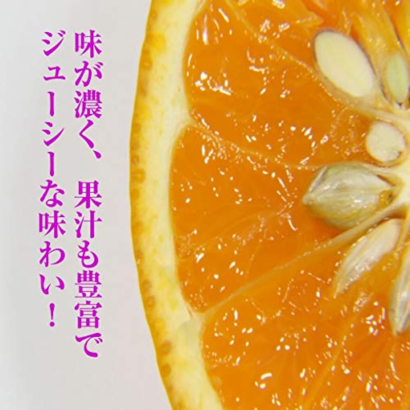 訳あり 清見オレンジ 2