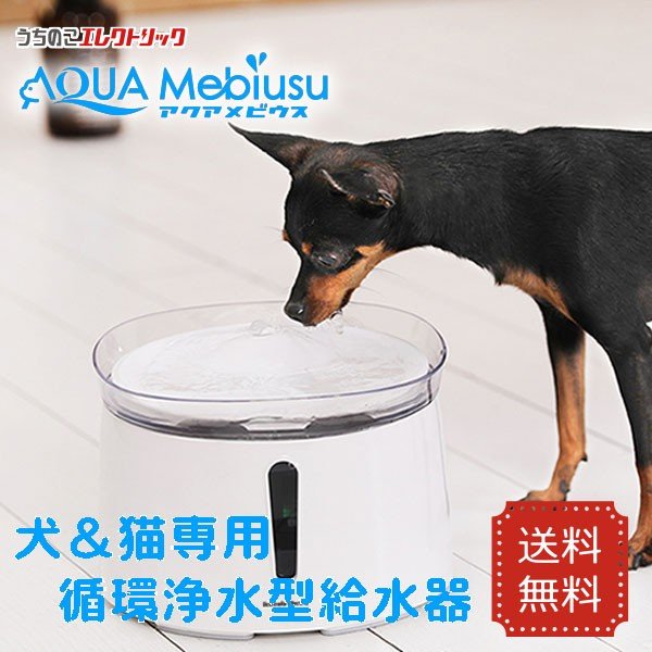 21年 猫用自動給水器のおすすめ人気ランキング14選 Mybest