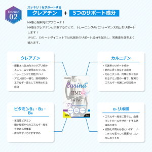 カリーナダイエット 5