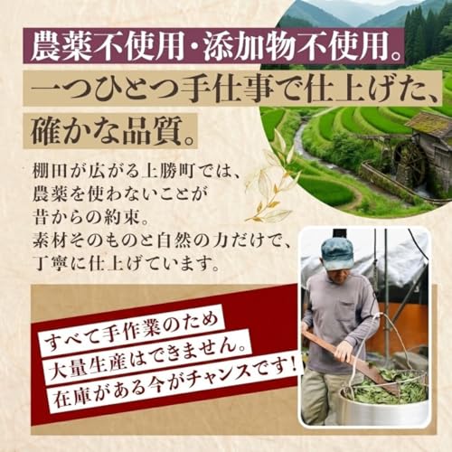 阿波晩茶 乳酸発酵茶 7