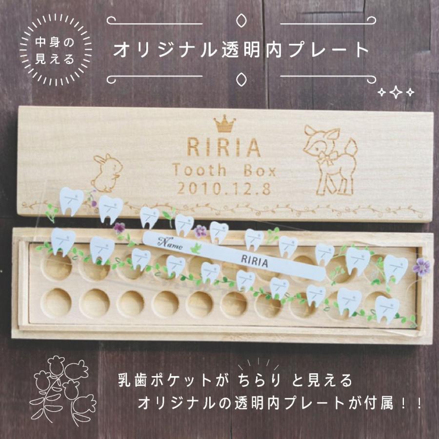 乳歯ケース 5