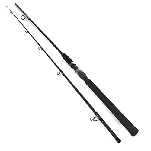 国内正規□ 新品X-CORE ジギングロッド オフショア JIG120-350g