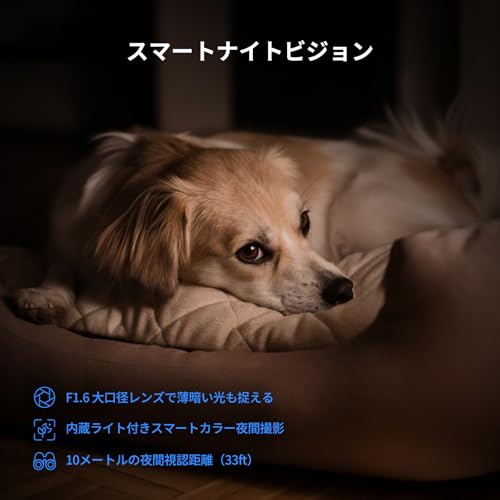 防犯カメラ C6N G1 4K 3