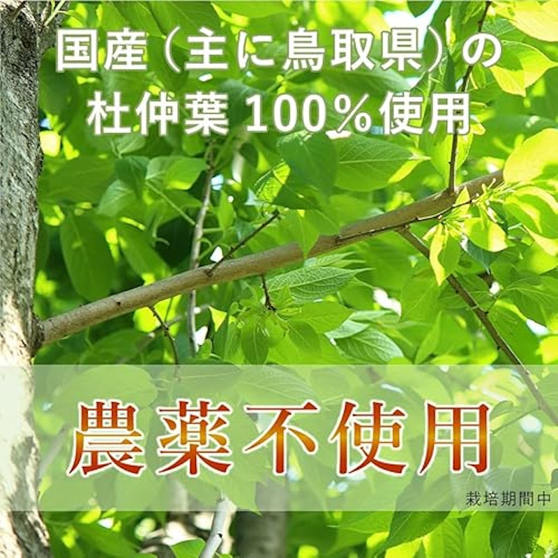 杜仲茶 3