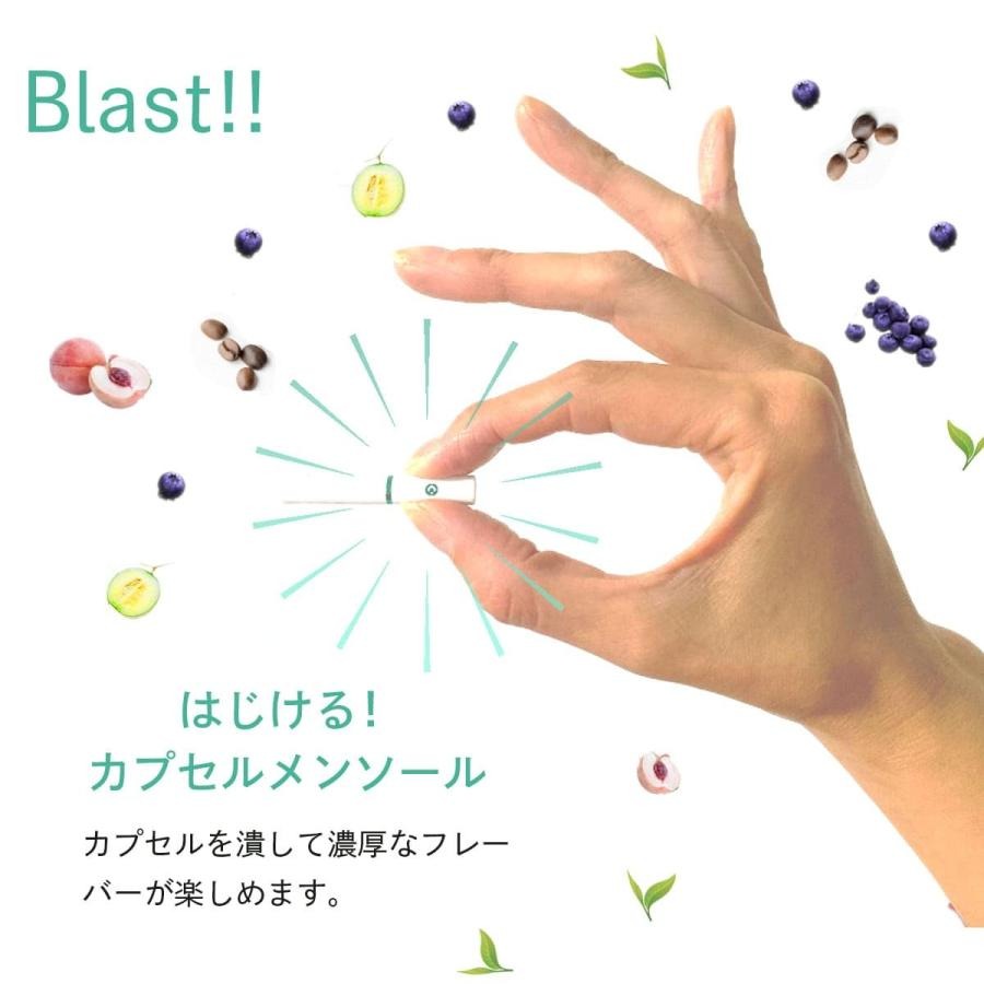 ブルーベリー 3