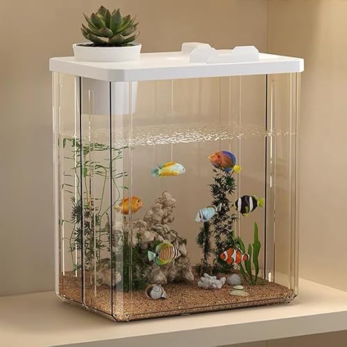 熱帯魚等飼育用グッズ　まとめ 2025年最新】初心者でも失敗しない熱帯魚の飼育マニュアル完全版