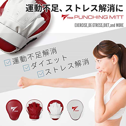 パンチングミット 3