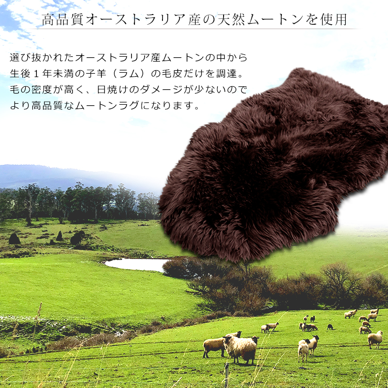長毛 ムートンラグ 3