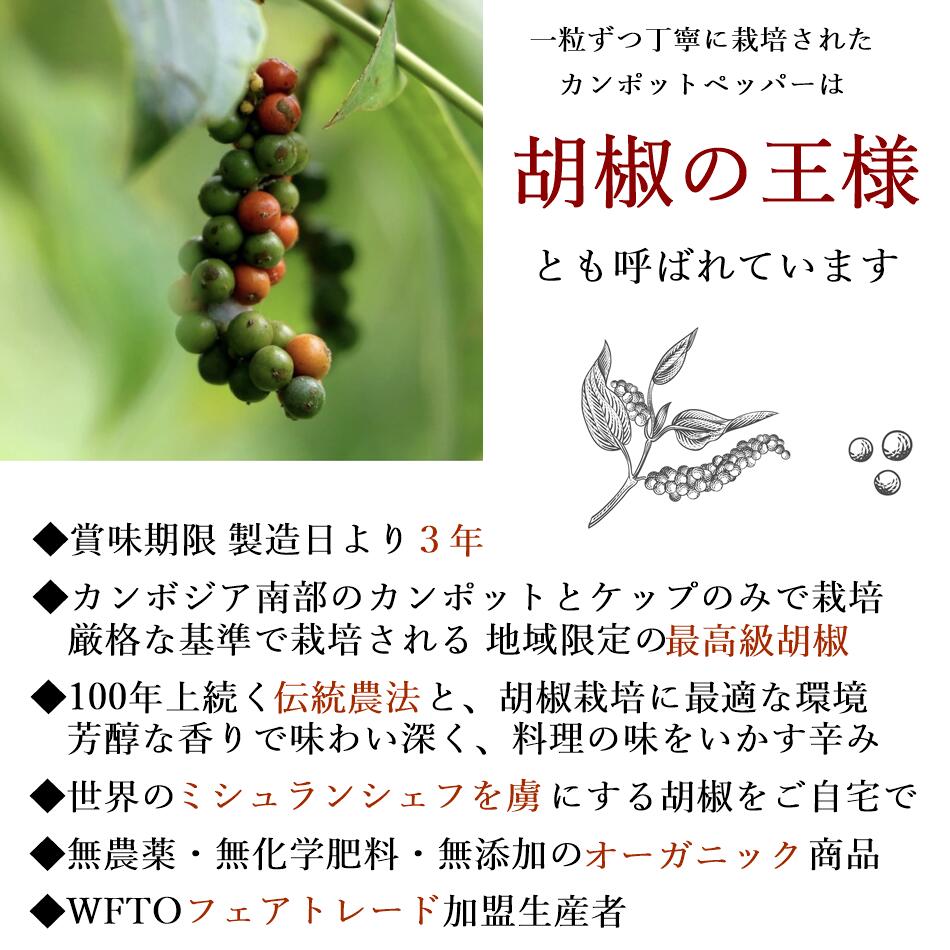 カンポットペッパー グリーンペッパー（緑胡椒・粒） 3
