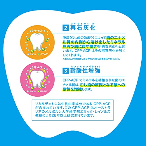 グレープミントガム 6