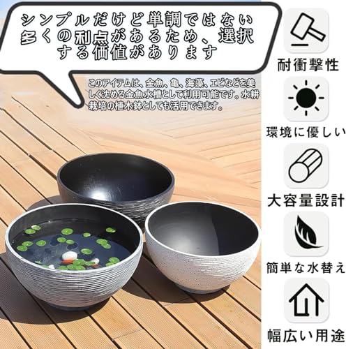 睡蓮鉢 5