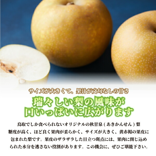 秋甘泉梨 3