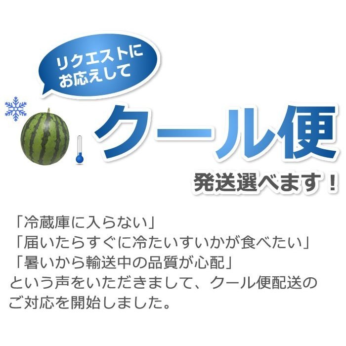 熊本県産 大玉スイカ 訳あり 3