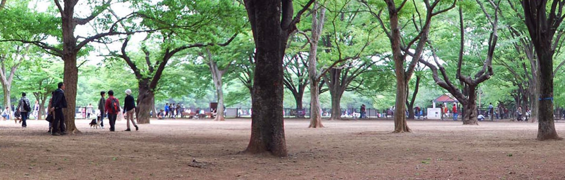 東京都内のドッグランおすすめ人気ランキング選 屋外 屋内 Mybest