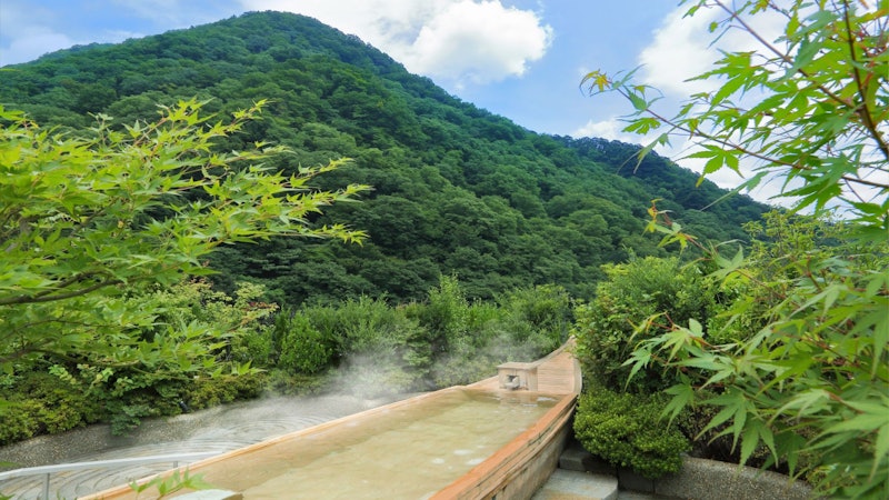 鬼怒川温泉 あさやホテル 4