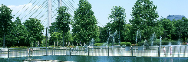 21年 東京都内のドッグランのおすすめ人気ランキング選 Mybest