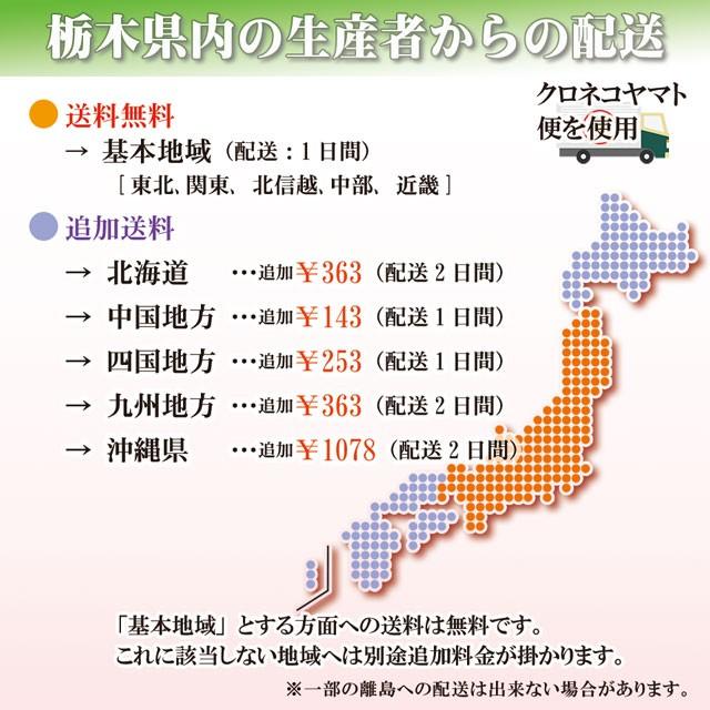 スカイベリー 7