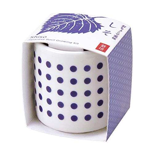 21年 ハーブ初心者向け栽培キットのおすすめ人気ランキング10選 Mybest