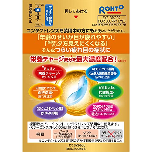 ロートゴールド40コンタクト 2