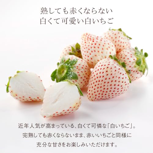旬の国産人気フルーツのミニお重セット 3