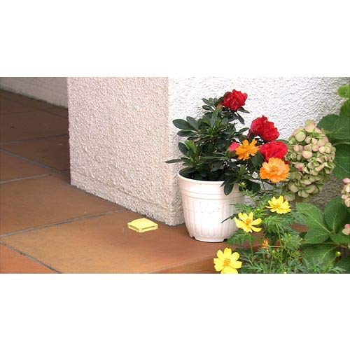 ナメクジ駆除剤のおすすめ人気ランキング10選 Mybest