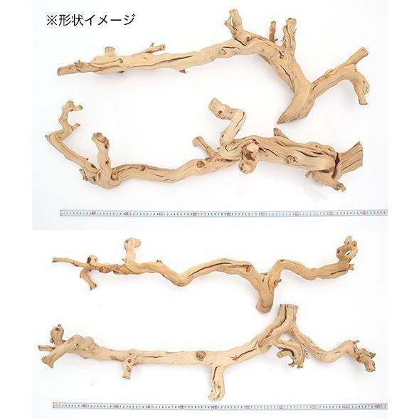 天然素材 ぶどうの木 形状お任せ グレープバイン 3