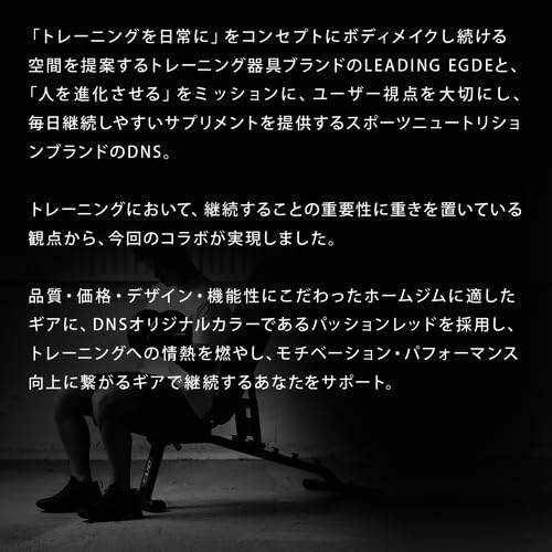2WAY ディップスタンド 4