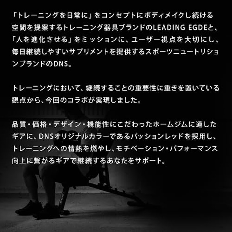 2WAY ディップスタンド 4