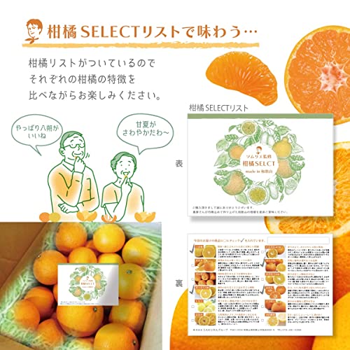 和歌山県産 ソムリエ厳選 柑橘食べ比べ セット 5