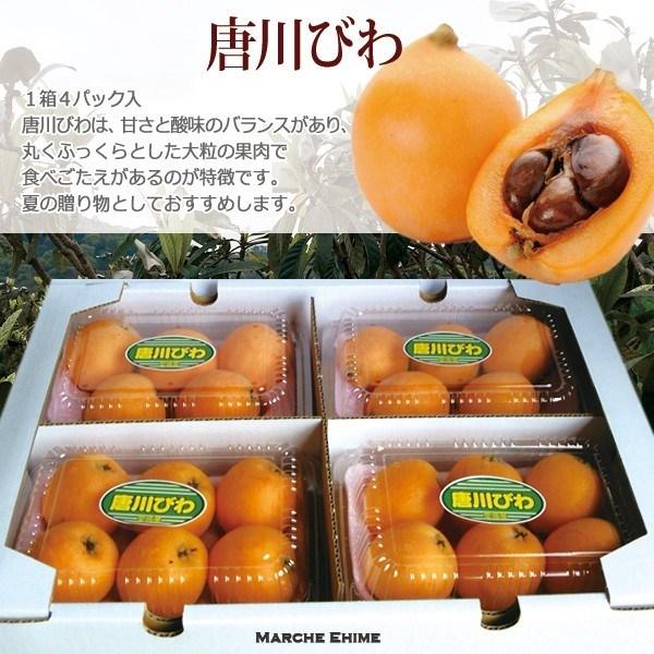 唐川びわ 2