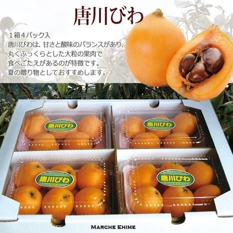唐川びわ 2