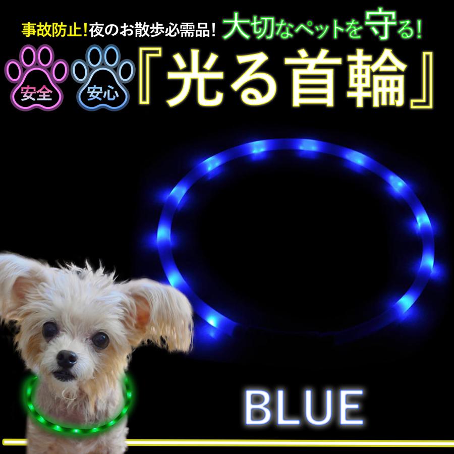 光る首輪  4