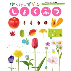 21年 花図鑑のおすすめ人気ランキング15選 Mybest 21年 花図鑑のおすすめ人気ランキング15選 Mybest
