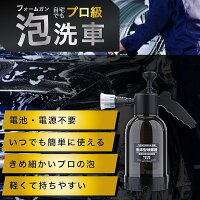 フォームガン 2